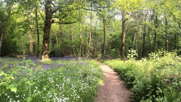 Empowerment Day Retreat -Thursday 10th July 2025